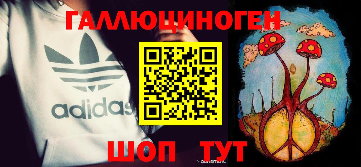 Галлюциногенные грибы Psilocybe Шали