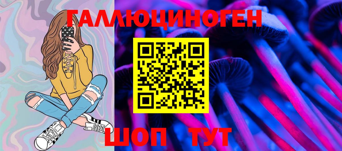 Псилоцибиновые грибы прущие грибы  Вход с VPN  Шали 